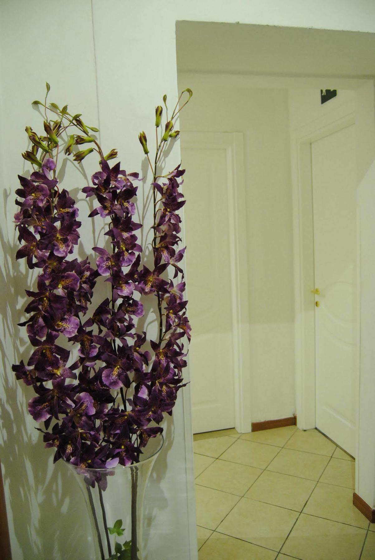 Adelaide House Affittacamere 2*